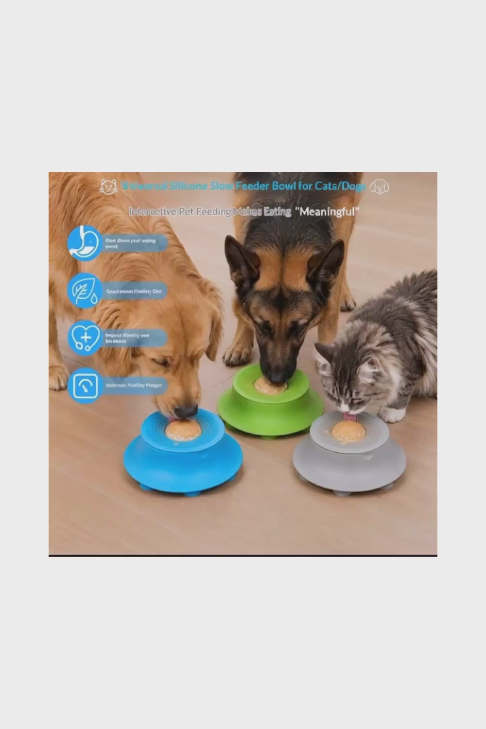 Silicone Slow Feeder Bowl – Anti-Slip Suction Cup for Cats & Dogs